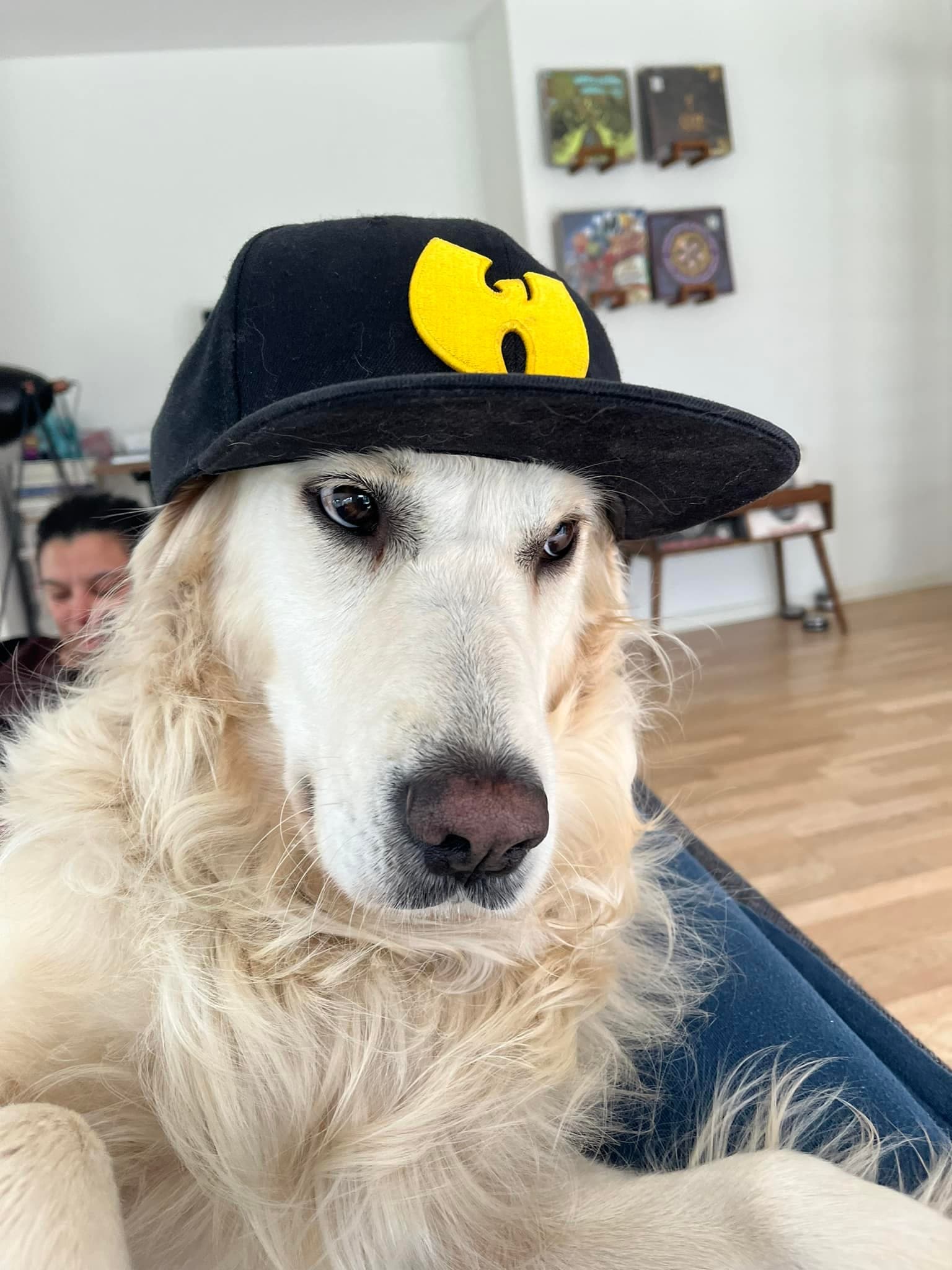 Rosie5.jpg