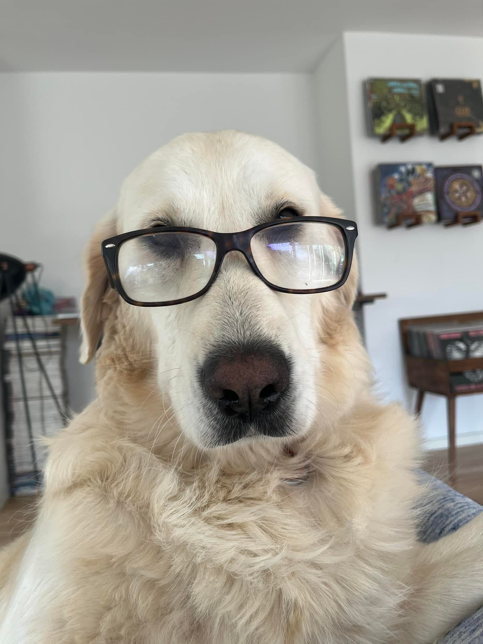 Rosie6.jpg
